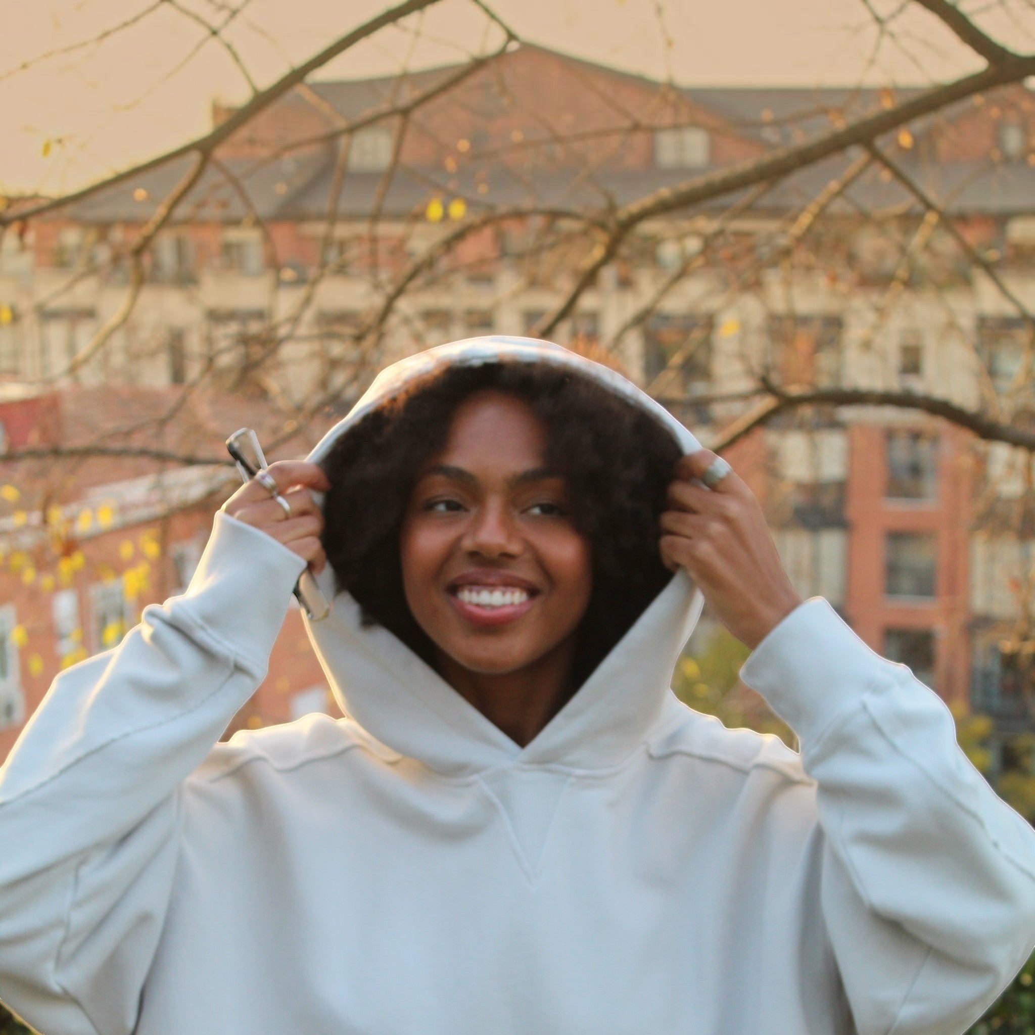 HOODIE "LA ORIGINAL" GLACIER GREY